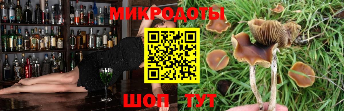 Псилоцибиновые грибы прущие грибы Камышин