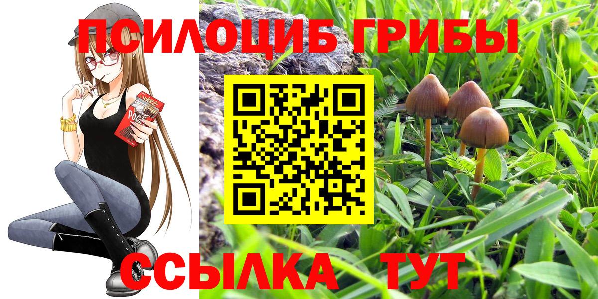 Камышин  Псилоцибиновые грибы мухоморы  Вход с VPN  Галлюциногенные грибы мухоморы 